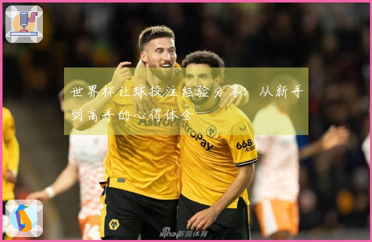 世界杯让球投注经验分享：从新手到高手的心得体会