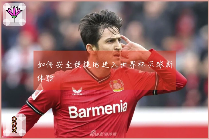 如何安全便捷地进入世界杯买球新体验