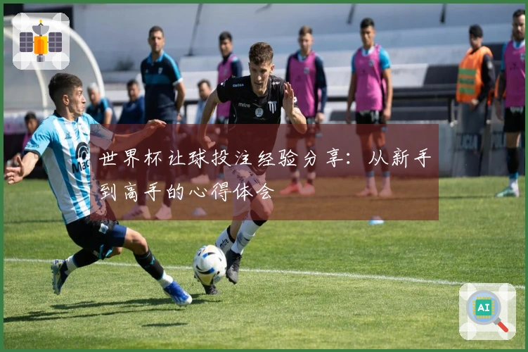 世界杯让球投注经验分享：从新手到高手的心得体会