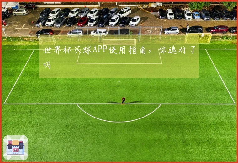 世界杯买球APP使用指南，你选对了吗
