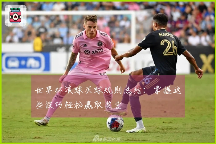 世界杯滚球买球规则总结：掌握这些技巧轻松赢取奖金